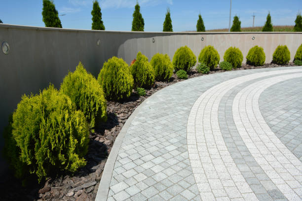 Best Professional Driveway Pavers  in Westlake Vlage, IL